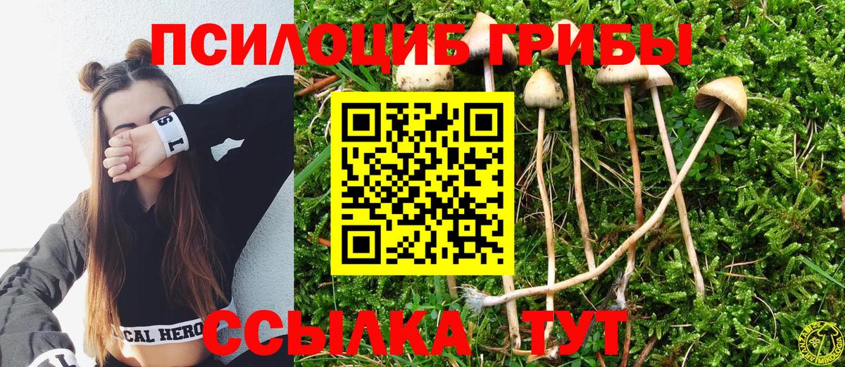 Псилоцибиновые грибы ЛСД Северск